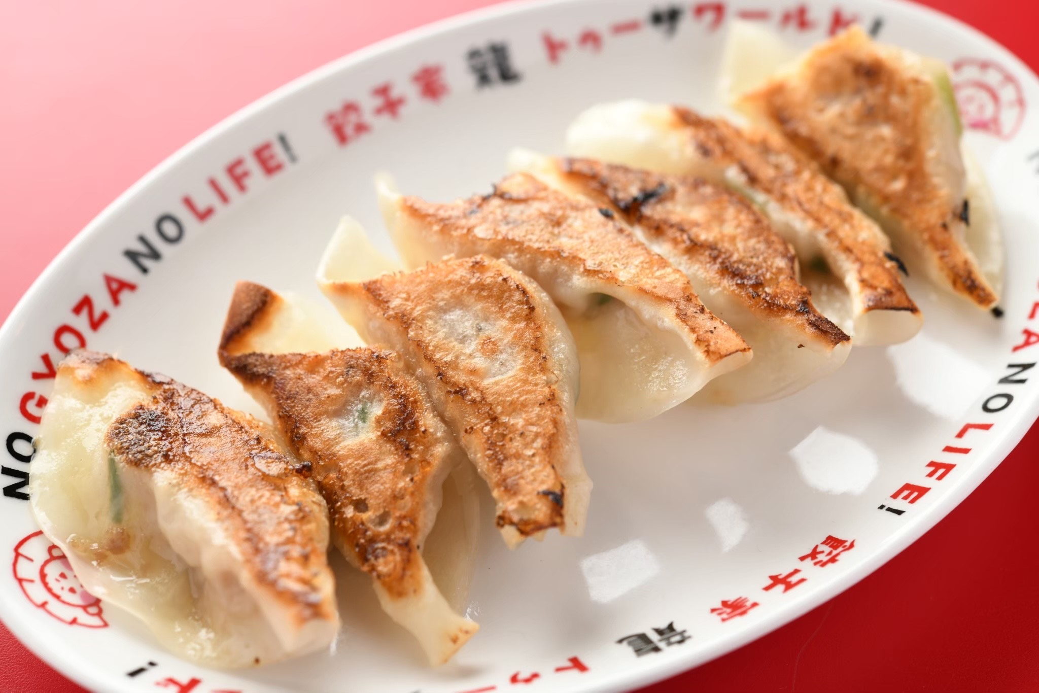 fried gyoza(7 pieces)